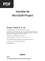 Msproject pt-br