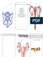 Leaflet kista ovarium