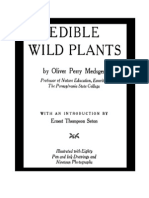Edible Wild Plants.pdf