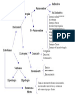 Copia de clasificacion Estrabismo.ppt