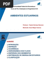 Ambientes Estuarinos 