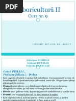 CURS 9  Arbori II pp
