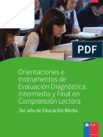 orientaciones e instrumentos de evaluacion diagnostica intermedio y final en comprension lectora 3 medio