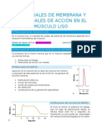 Potenciales de Membrana y Potenciales de Acción en El Músculo Liso