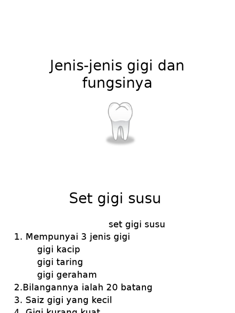 Jenis Jenis Gigi Dan Fungsinya Pdf