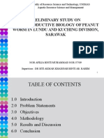 Reproductive biology of peanut worm