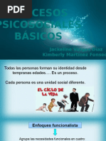 Procesos Psicosociales Básicos