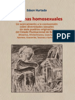 Indigenas homosexuales