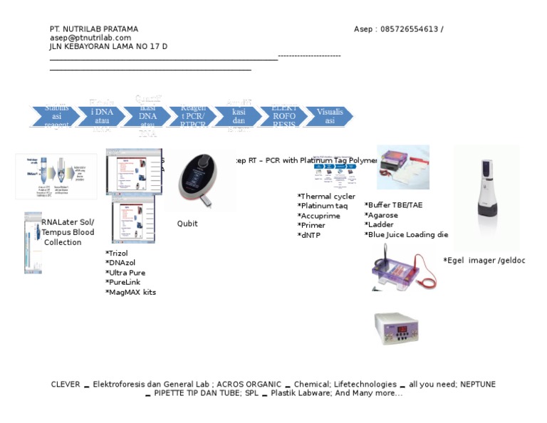 Superscript III One Step RT - PCR With Platinum Tag Polymeras Agpath | PDF
