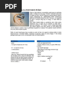 Download Izrada Guma Za Podvodnu Pusku i Epoksiranje by Marin Pintar SN272923671 doc pdf