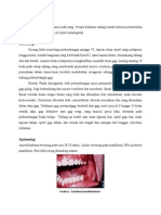 Ameloblastoma Definisi dan Penatalaksanaan