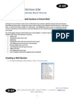 SCM Well Sections in Petrel 2010