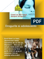 Drogurile Si Adolescentii.ppteLena