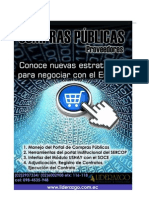 Brief Seminario Compras Publicas Proveedores Agosto 2015