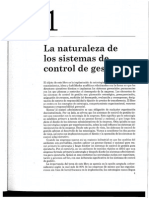 Capítulo 1 - Sistema Control Gestión PDF