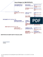 Arabian Horse Pedigree For CMH PISTOLITA