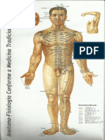 Acupuntura Mapa Frontal