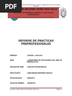 Informe de Praciticas Divincri - Regina