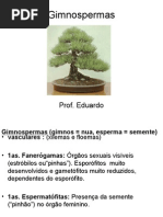 gimnospermaseangiospermas-110910152631-phpapp02