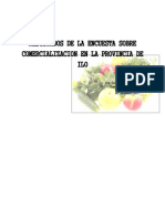 Informe Final Encuestas Sobre Comercialización en Ilo