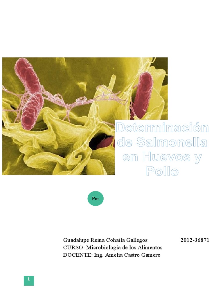 Detección de Salmonella en Huevos y Pollo | PDF | Salmonela | Huevo ...