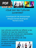 Qué Son Las Culturas Juveniles