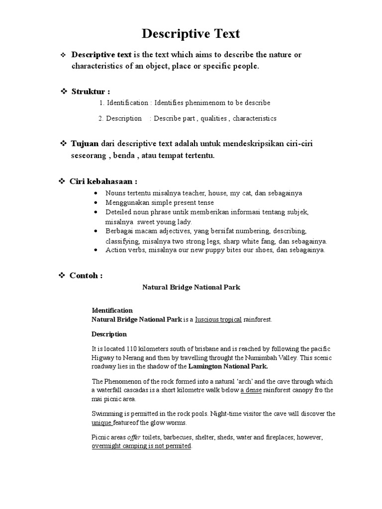 Characteristics of Descriptive Text | PDF