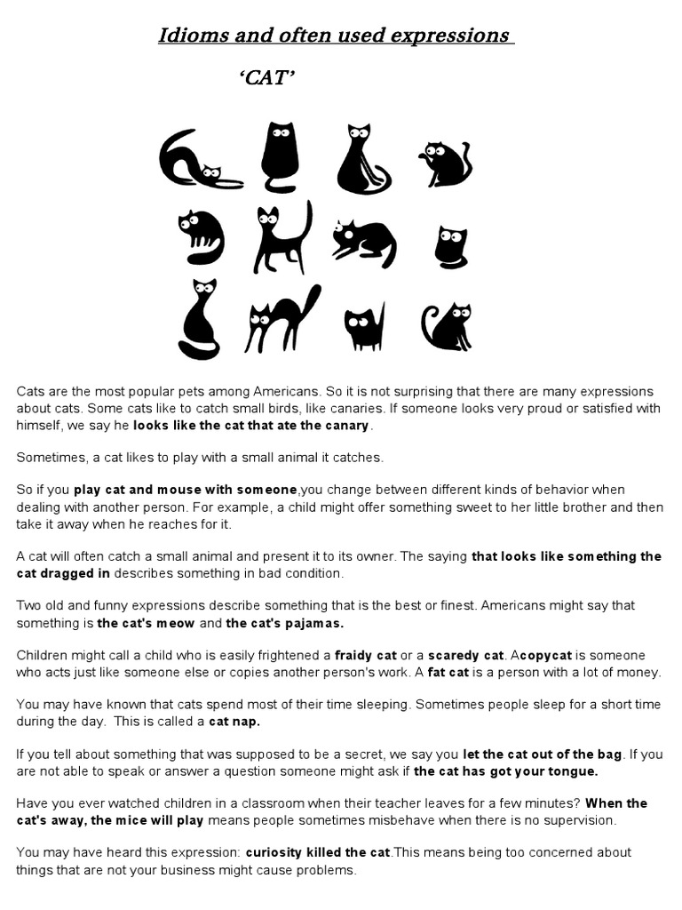 Idioms and Expressions About Cats Exploring the Origins and Meanings