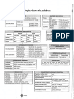 Morfología PDF