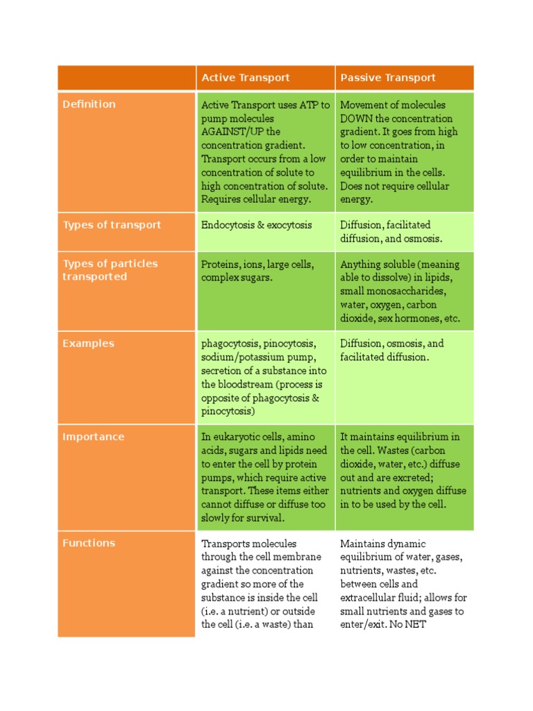 Comparison Between Active And Passive Transport Pdf Diffusion Osmosis