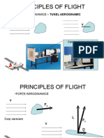 Principles of Flight
