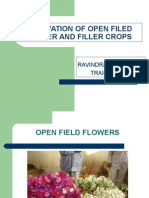 Cultivation of Open Filed Flower and Filler Crops: Ravindra Deshmukh Trainer - HTC