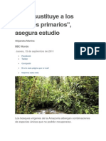 Bosques Primarios