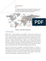 1-1 BG Group:: 1-Company Presentation