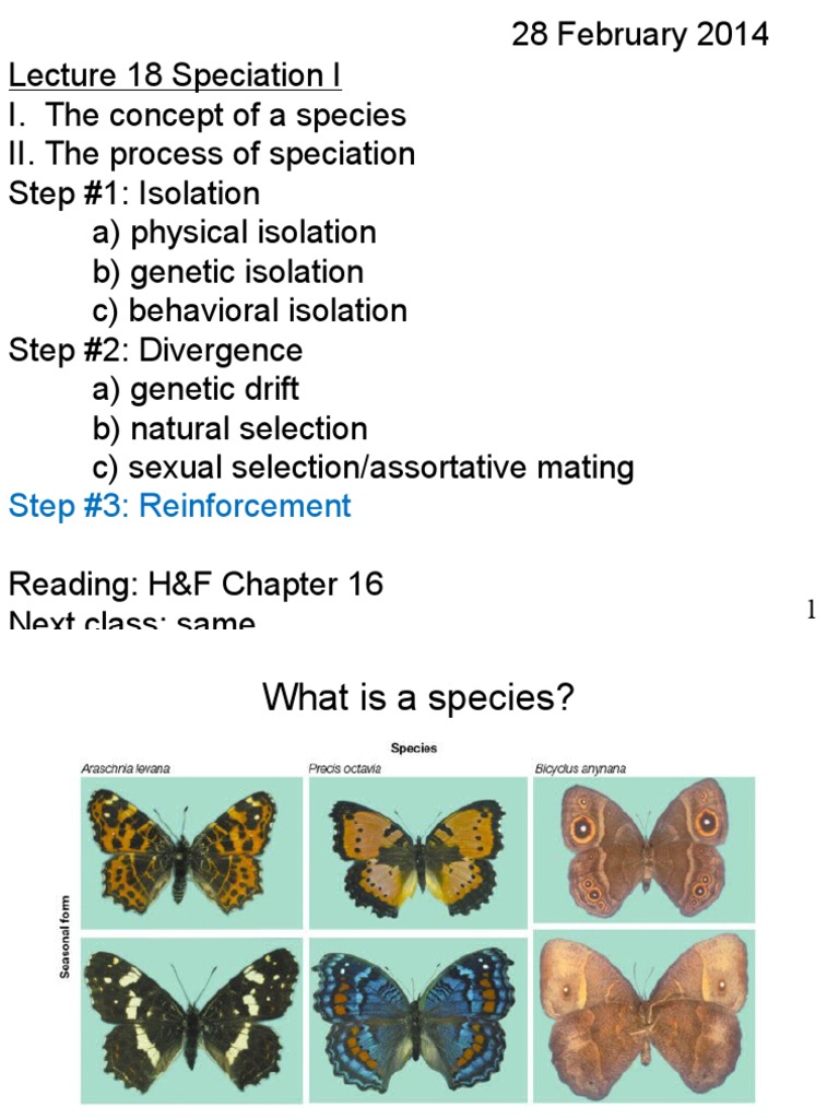Understanding Speciation Processes | PDF | Science & Mathematics