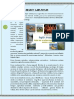 Modulo Amazonas - Conglomerado-Borrados Orincipal Aaa-PDF-borrador Unooooo