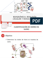 Hierro en Sangre 2015-01