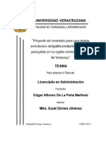 Tesina Evaluacion Proyecto