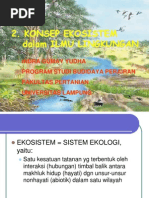 Download Ilmu LIngkungan Bab 2 Konsep ekologi oleh Indra Gumay Yudha by Indra Gumay Yudha SN27309444 doc pdf