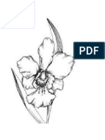 orchid2.docx