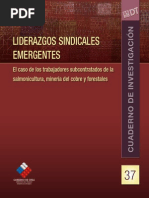 Dirección Del Trabajo (2010)-Liderazgos Sindicales Emergentes Forestal Minería y Salmón