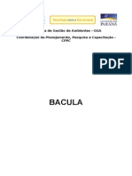 Apostila-Bacula