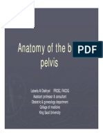 Anatomy of the female bony pelvis
