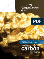Carbon para La Recuperacion Del Oro