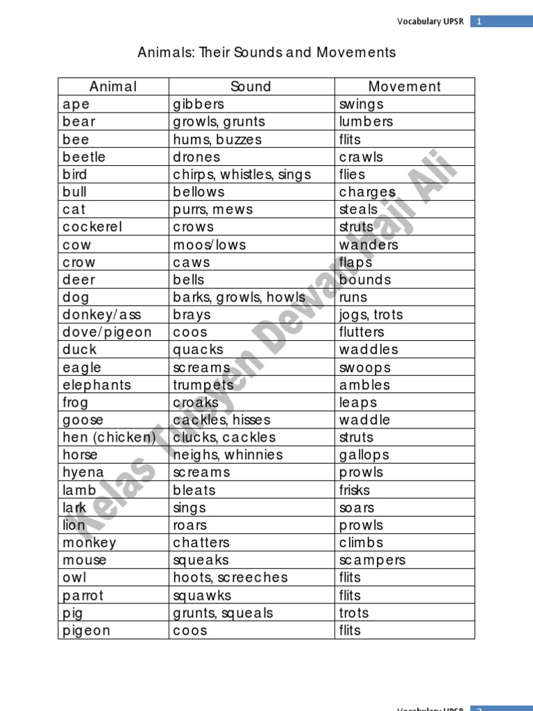 Animals And Their Movements List With Chart vrogue.co