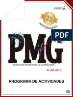 Programa de Actividades PMG