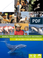 Manual Par Puntos Focales - CMS