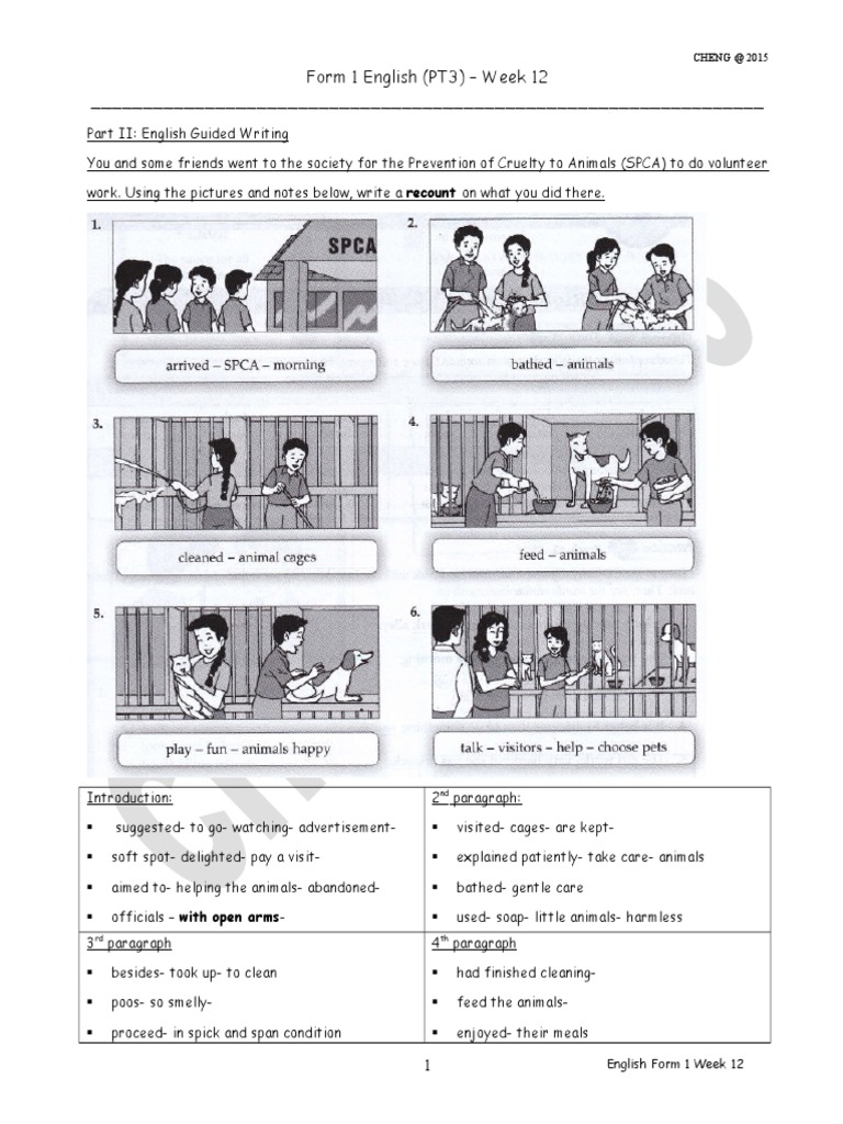 English essay samples picture