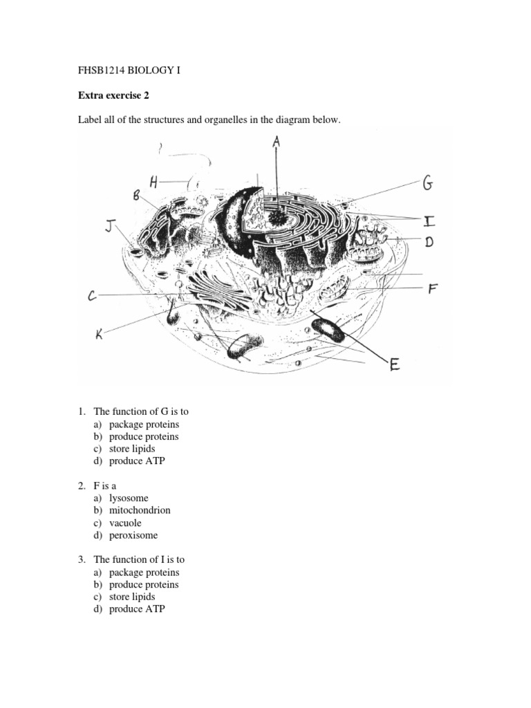 Extra Exercise 2 201505 | PDF | Wellness