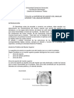 Anatomia Protetica de La Superficie de Asiento